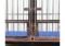 4×3×3 FT Stainless Steel Double Room Cage - Image 3
