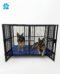 L74'' / W50''/ H50'' heavy duty dog cage double room for large breed - Image 4