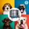 L3'/W3'/L3' Foldable type dog cage - Image 7