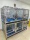 L74''/W38''/H66'' stainless steel double decker cage - Image 4