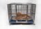 L4'/W3'/H3' Stainless steel heavy duty dog cage