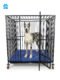 50'' / 50''/ 50'' Dismantle type heavy duty dog cage - Image 4